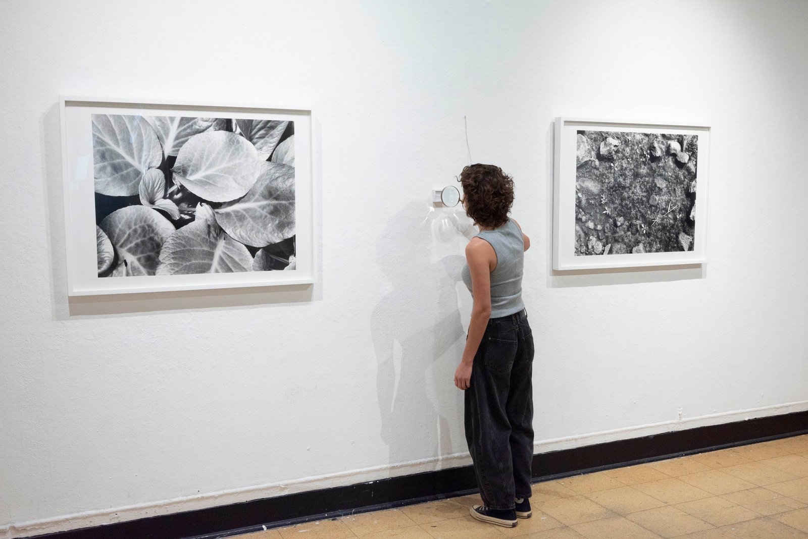 biophilia-documentation-29