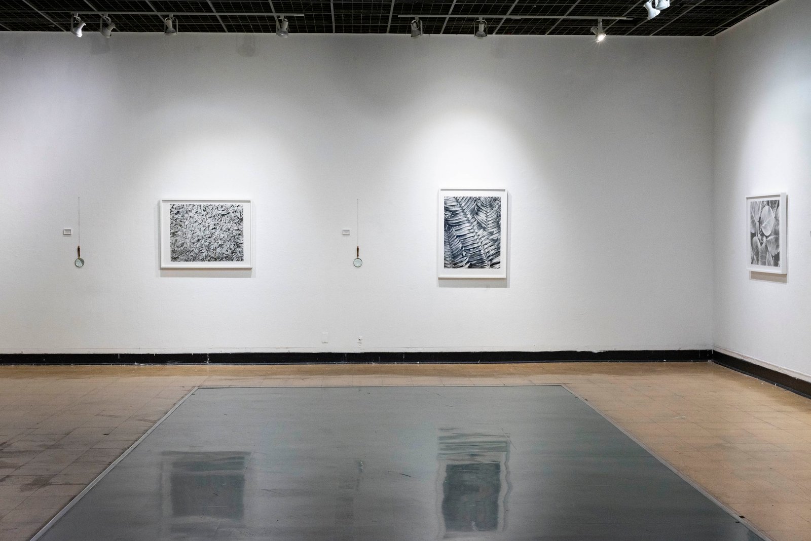 biophilia-documentation-3