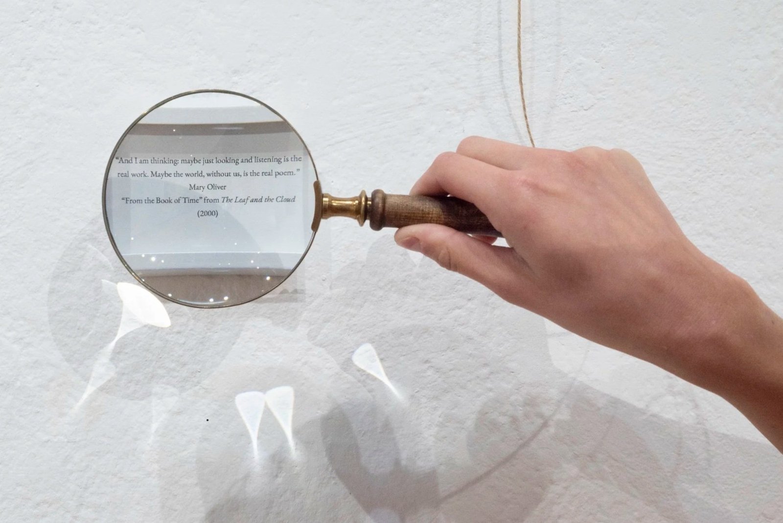biophilia-documentation-31
