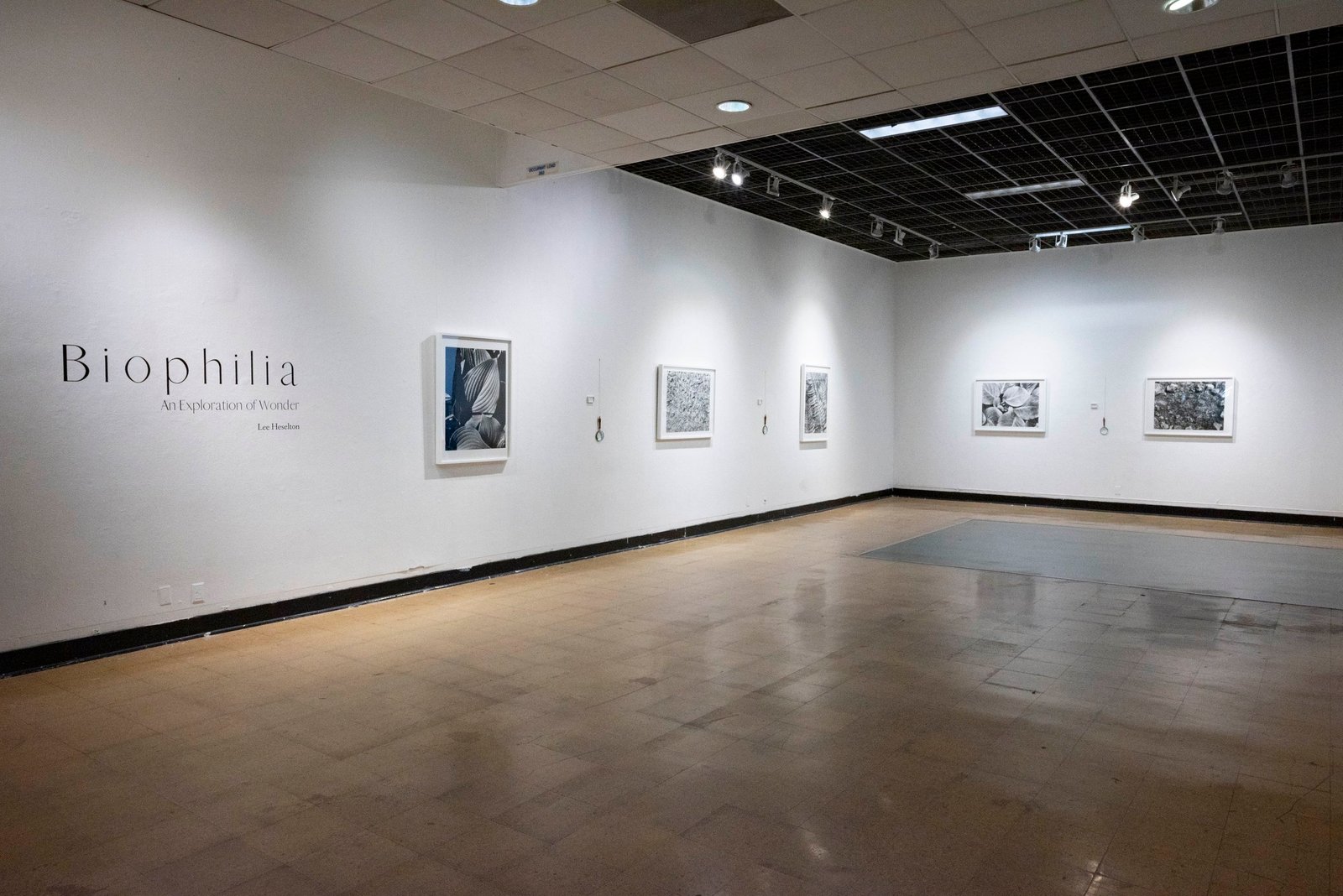 Biophilia: An Exploration of Wonder