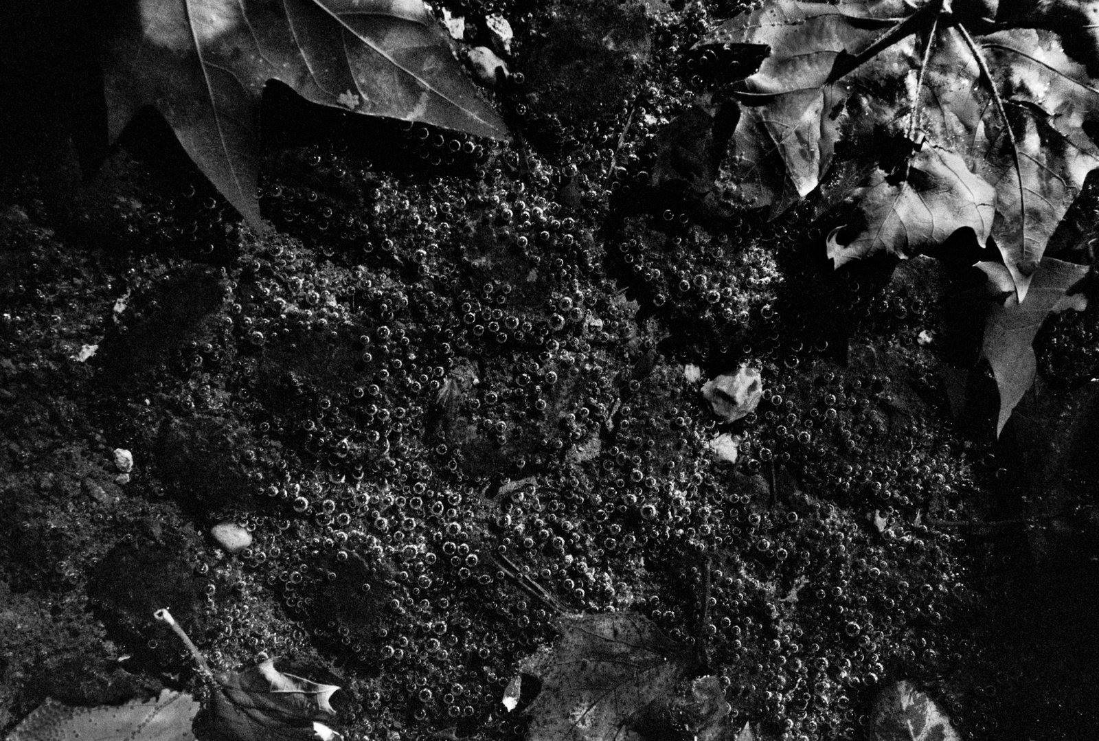 summer-24-edits-francefilm-21